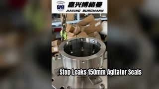 150mm 撹拌機メカニカルシール高性能ソリューション